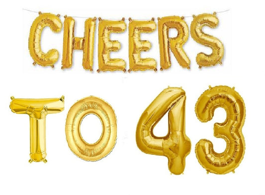 Cheers to 43 Birthday Foil Balloon Combo Party Decoration for Anniversary Celebration 16 Inches