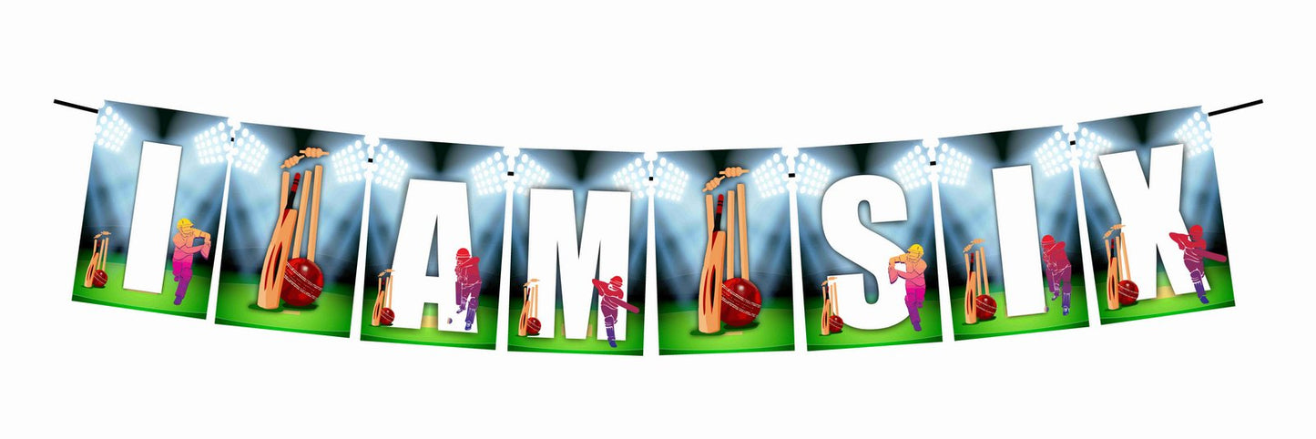 Cricket I Am Six 6th Birthday Banner for Photo Shoot Backdrop and Theme Party