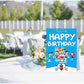 Doremon Theme Cake Table and Guest Table Birthday Decoration Centerpiece Pack of 2