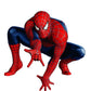 Spiderman Cardboard Cutout for Theme Birthday Background Decoration