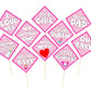 Its a Girl Photo Booth Party Props Baby Girl Baby Welcoming Theme Party Decoration Photo Booth Party Item for Adults and Kids (Pack of 10)
